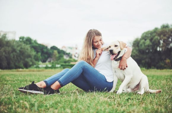 Labrador : chien qui apprécie l'extérieur