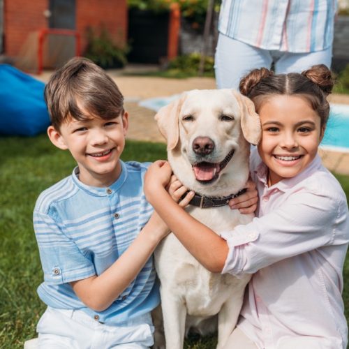 Top 10 des races de chiens adaptées aux enfants